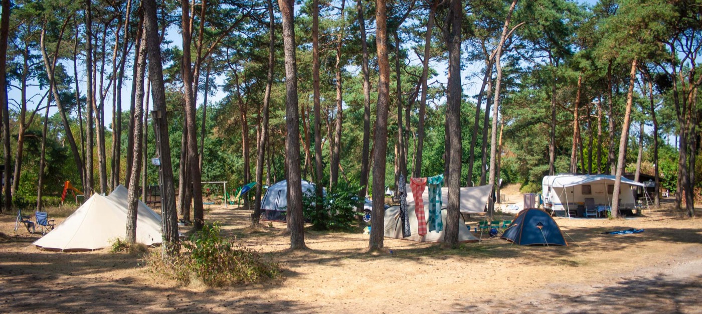 Kampeerterrein tussen de dennen